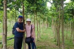 Plantation Johor