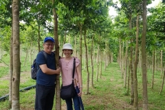 Plantation Johor
